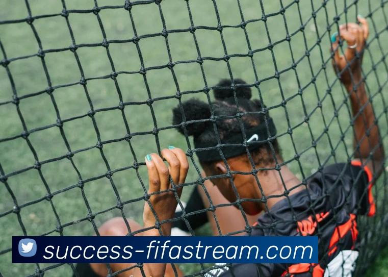 世界杯直播网站服务体系